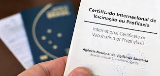 Entenda o que é esse certificado e quais países que o exigem. Como Solicitar O Certificado De Vacinacao Pela Internet Pe Na Estrada