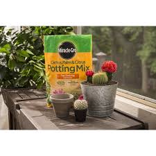 Added plant food will help your plant even though it's christmas and you've got a cactus in your house, the plant will feel like it's right at home in any pot because it will be in such a great mix. Miracle Gro 8 Qt Cactus Palm Citrus Potting Mix 72078430 Blain S Farm Fleet