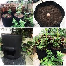 Garden Potato Vegetable Growing Bags