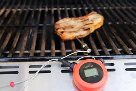 the 6 best wireless grill thermometers