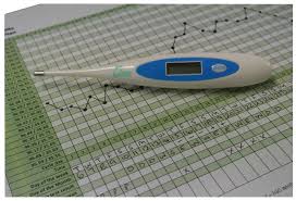 Digital Centigrade Celsius Bbt Basal Ovulation Thermometer