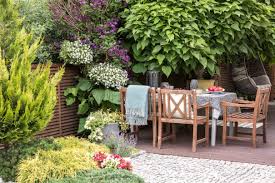 Small Border Planting Ideas With High