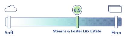stearns foster vs sealy mattress