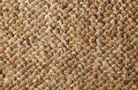 berber carpet cleaning superpages
