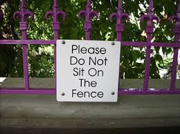 Please Do Not Sit On The Fence - MindPerk
