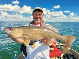 Catch Trophy Walleye With Swimbaits