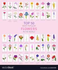 Your Garden Guide Top 50 Most Popular Flowers