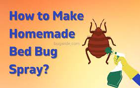 how to make homemade bed bug spray