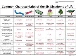 The Six Kingdoms Of Life Graphic Organizer Editable