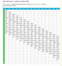 Bra Size Chart Gallery Of Chart 2019