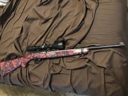 ruger 10 22 with scope nex tech