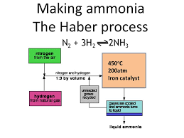 Making Ammonia The Haber Process Ppt Video Online Download