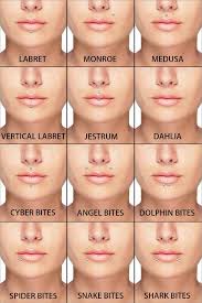Lip Piercings Guide Lip Piercing Piercings Face Piercings