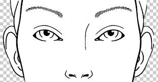 face chart cosmetics drawing png