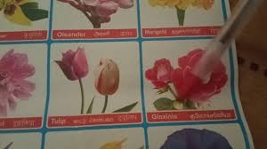 flowers name in hindi english and