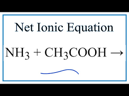 How To Write The Net Ionic Equation For