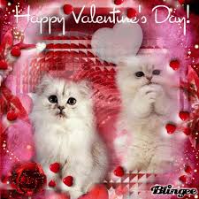 All sizes and formats, high quality and large selection of themes for. Meowy Valentine S Day Kittens Photo 42637614 Fanpop