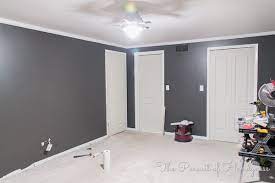 Sherwin Williams Black Fox Palette