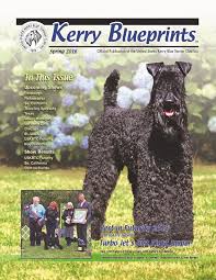 The kerry blue terrier is gentle, lovable and intelligent. The United States Kerry Blue Terrier Club Inc Pdf Free Download