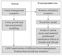 forests full text potential roles of swedish forestry in no