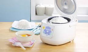 Best Induction Rice Cooker Complete Reviews With
