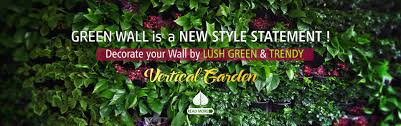 vertical garden green wall delhi