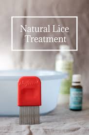 how to treat lice with natural s