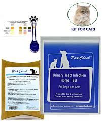 Urinary Tract Infection Full Kit 1 Test Non Absorbent