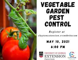 For a vegetable garden, most people stay away from herbicides. Vegetable Garden Pest Control May 10 2021 Online Event Allevents In