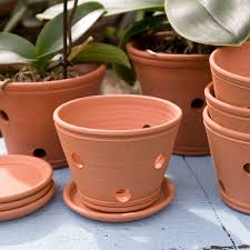 Buy Small Orchid Terracotta