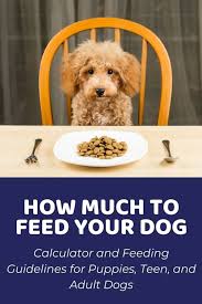 It should also be with the natural and delicious flavors your dog will. Best Goldendoodle Puppy Food Reviews From Doodle Owners