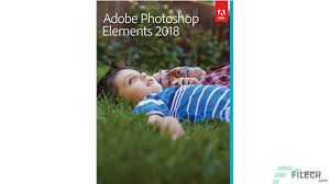 A standard adopted by governments and enterprises worldwide, adobe pdf is a reliable format for electronic document exchange that preserves whether you need to share files across the office or around the world, the adobe acrobat product family enables businesses to simplify document. Adobe Photoshop Elements 2021 Free Download Filecr