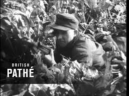 114 of them died on operations abroad or on recognised missions. New German Army In The Making 1950 1959 Youtube