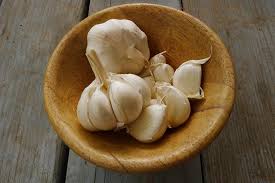 Image result for garlic images