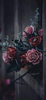 iphone rose wallpaper 085