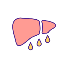 fatty liver disease rgb color icon