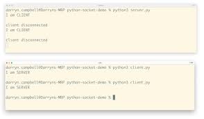 python network programming client