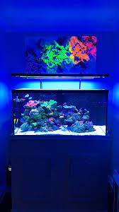 Photon V2 48 Hybrid T5 Aquatic Life Conversion Page 3 Reef2reef Saltwater And Reef Aquarium Forum
