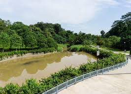 best parks in singapore your essential