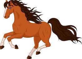 horse cartoon images browse 312 548