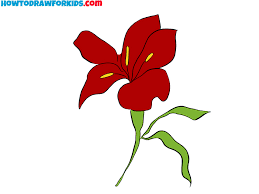 to draw a lily easy drawing tutorial