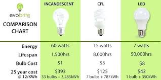 Light Bulb Ratings Honibee Co