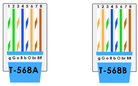 Since 2001, the variant commonly in use is the category 5e specification (cat 5e). Fh 0219 Cat5 Pinout Related Keywords Suggestions Cat5 Pinout Long Tail Download Diagram