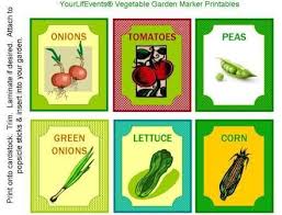 Vegetable Garden Markers