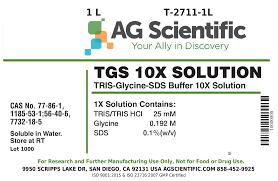 tris glycine sds buffer 10x solution