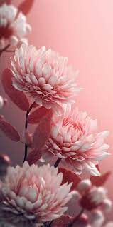 roze bloemen wallpaper iphone 6