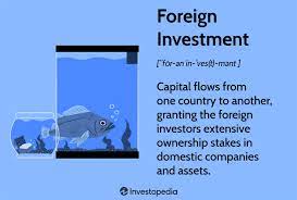 foreign investment definition how it