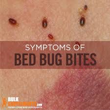 Although they are caused by different insects, they both manifest themselves on the skin in the same compare the pictures with your symptoms. Bedbug Bite Characteristics Causes Treatment Bulksupplements Com