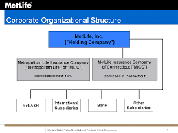 Life Insurance Company Life Insurance Company Structure