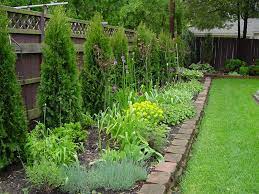 Garden Ideas Along Fence Line
